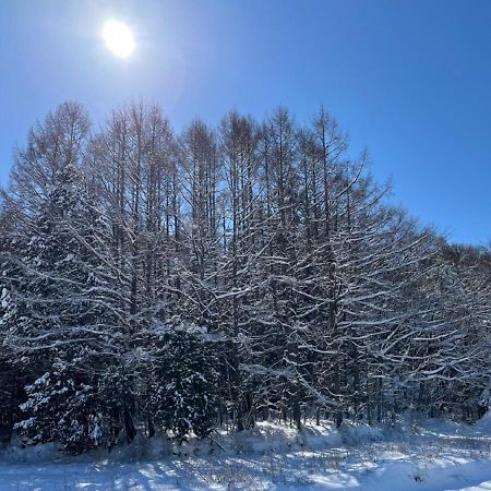 月ノ森 -Moon Forest- Fujikawaguchiko Zewnętrze zdjęcie